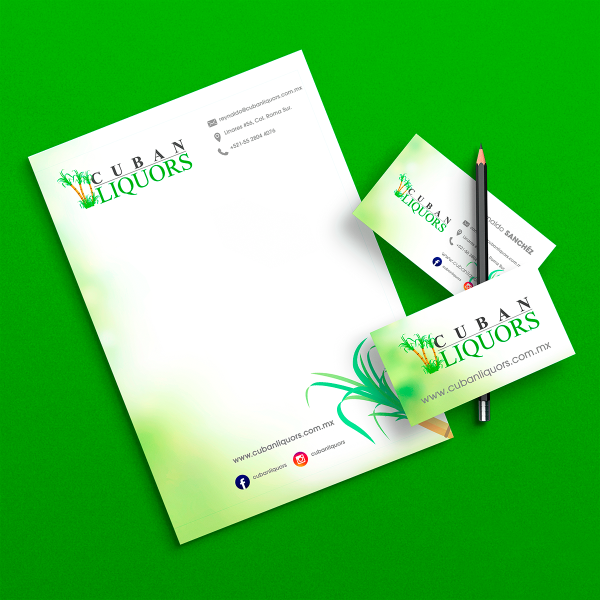 1. Diseño de Logotipo PromoWeb2